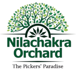 Nilachakra Orchard